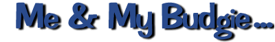 Welcome to the Me & My Budgie Web Site!