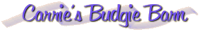 Welcome to Carrie's Budgie Barn