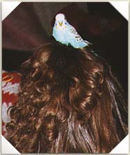 Beaker on head