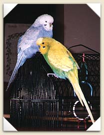 Basil and Gloria taking time out