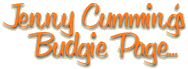 Jenny's Budgie Page