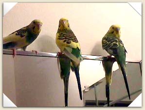 All together