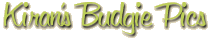 Welcome to Kiran's Budgie Page