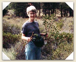 Patty picking manzanita