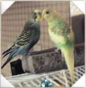 Kissy!