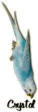 Crystal