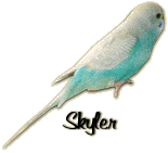Skyler