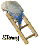 Stormy
