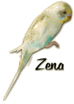 Zena